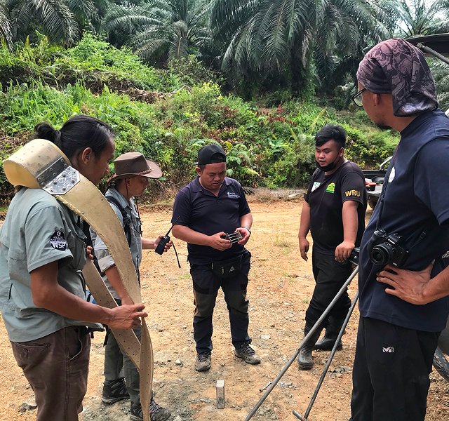 Hutan.jpg